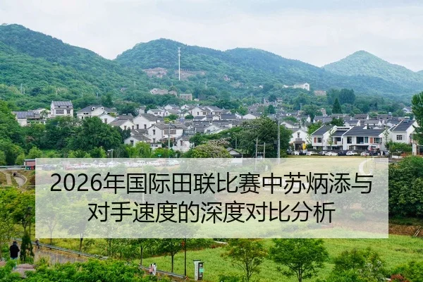 nian-guo-ji-tian-lian-bi-sai-zhong-su-bing-tian-yu-dui-shou-su-du-de-shen-du-dui-bi-fen-xi-2-774.jpg